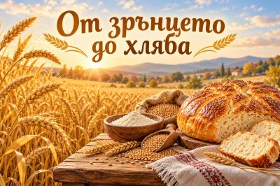 От зрънцето до хляба 1