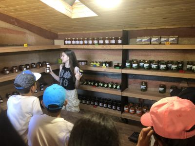 Вкусно пътешествие в необятния свят на природата  11