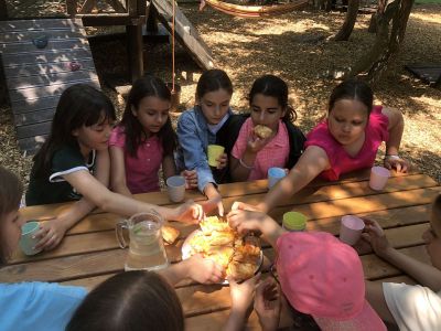 Вкусно пътешествие в необятния свят на природата  20